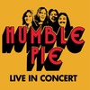 Humble Pie - Live In Concert - LP