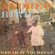 Andrew Bird - Break It Yourself - CD