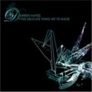DARREN HAYES - This Delicate Thing We've Made (2CD)