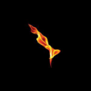 Turin Brakes - Dark On Fire - CD
