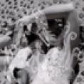 BJORK - VESPERTINE LIVE AT ROYAL.. - DVD BJORK - VESPERTINE LIVE AT ROYAL.. - DVD