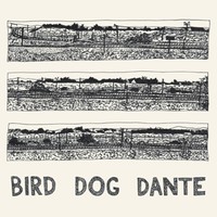 John Parish - Bird Dog Dante - CD