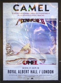 Camel - At the Royal Albert Hall - DVD