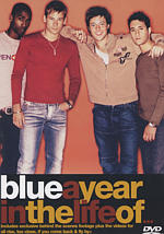 Blue - A Year In The Life Of Blue - DVD