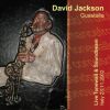 David Jackson - Guastalla: Live Tonewall and Soundbea-DVD
