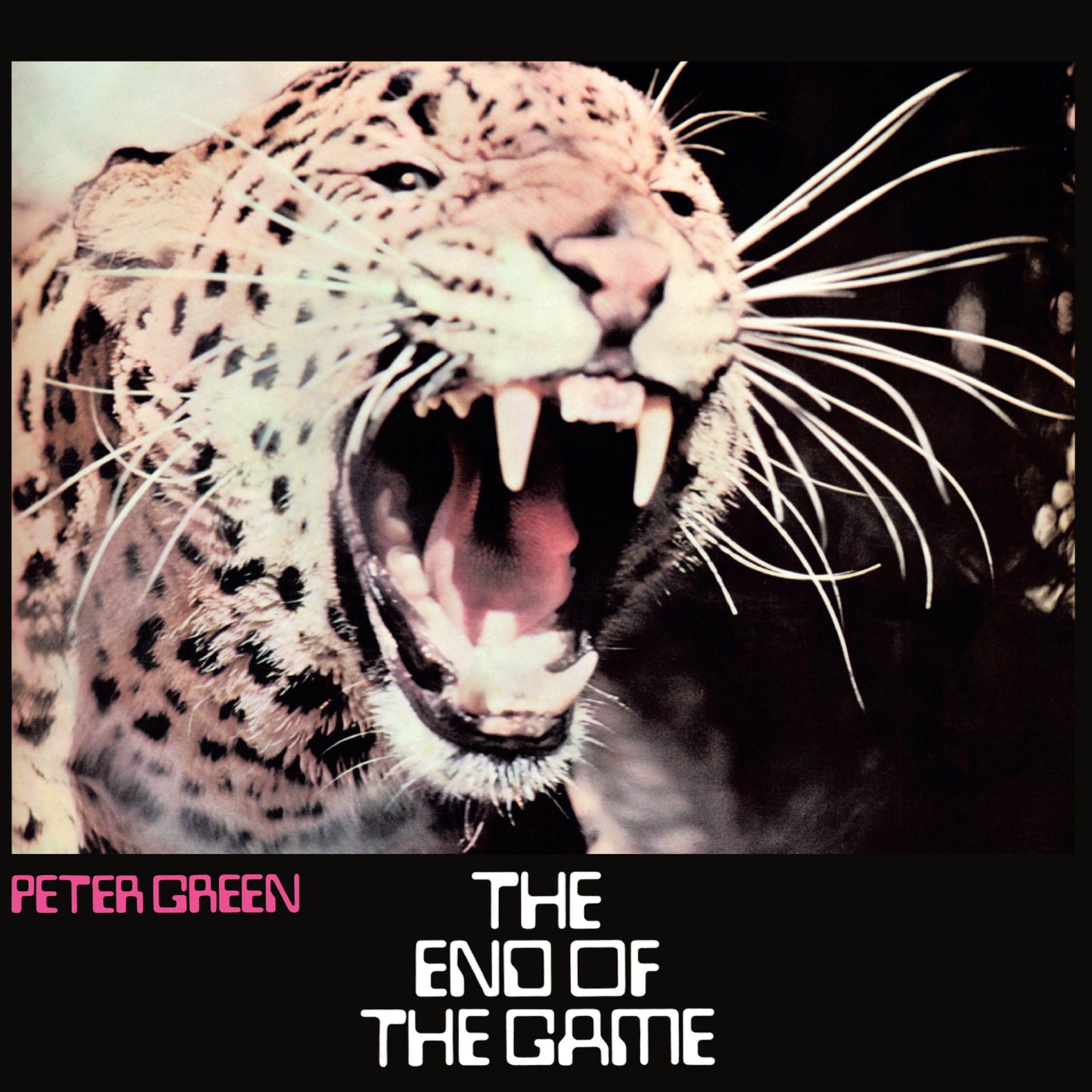 Peter Green - The End Of The Game, 50th Anniversary - CD