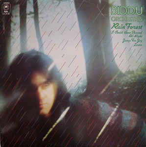 Biddu Orchestra - Rain Forest - LP bazar