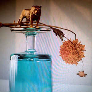 Beirut - Gallipoli - CD Beirut - Gallipoli - CD