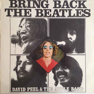 David Peel & The Apple Band - Bring Back The Beatles - LP bazar