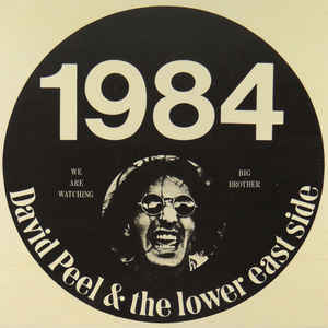 David Peel & The Lower East Side - 1984 - LP bazar