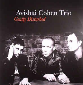 Avishai Cohen Trio - Gently Disturbed - LP Avishai Cohen Trio - Gently Disturbed - LP