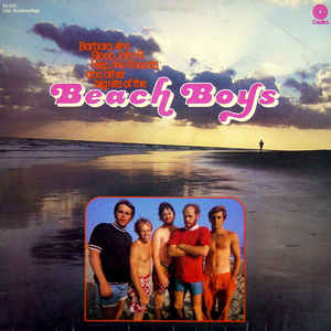 Beach Boys - Beach Boys (Club) - LP bazar