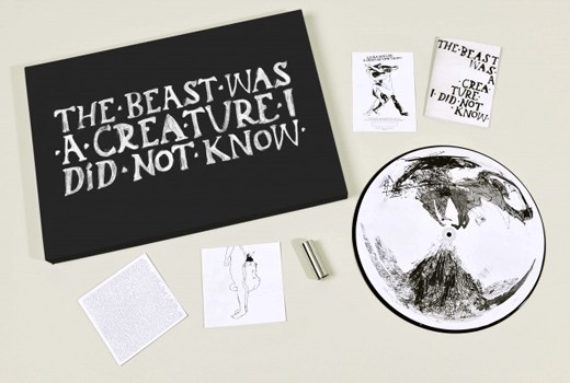 Laura Marling - A Creature I Don't Know - LP+CD+DVD BOX
