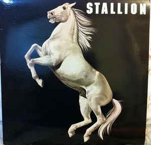 Stallion - Stallion - LP bazar