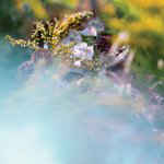 bEEdEEgEE - SUM/ONE - LP bEEdEEgEE - SUM/ONE - LP