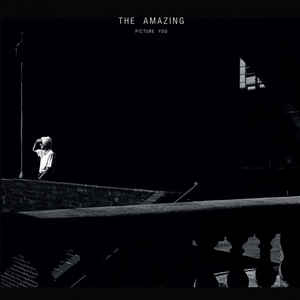 Amazing - Picture You - 2LP