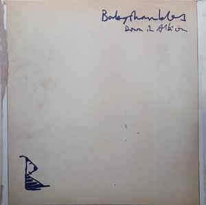 Babyshambles - Down In Albion - 2LP Babyshambles - Down In Albion - 2LP