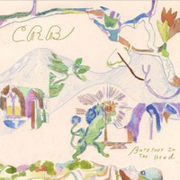 Chris Robinson Brotherhood - Barefoot in the head - CD