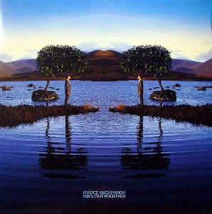 Bruce Dickinson – Skunkworks - 2LP Bruce Dickinson – Skunkworks - 2LP
