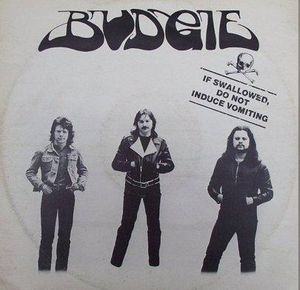 Budgie ‎- If Swallowed, Do Not Induce Vomiting - CD