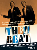 V.A. - Vol. 6, The !!!! Beat, Shows 22-26 - DVD