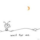 Moby - Wait For Me - CD