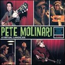 Pete Molinari - Virtual Landslide - CD