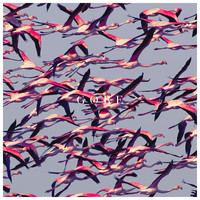 Deftones - Gore(2016) - CD