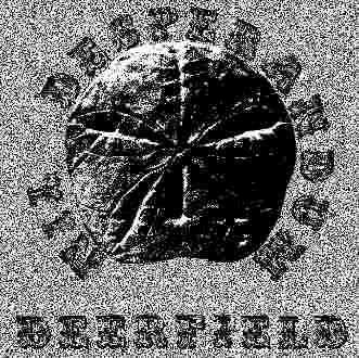 Deerfield - Nil Desperandum - CD