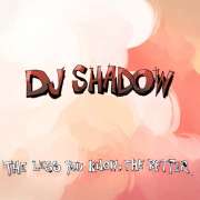 DJ Shadow - The Less You Know The Better - CD