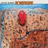 DEVON ALLMAN´S HONEYTRIBE - Torch - CD