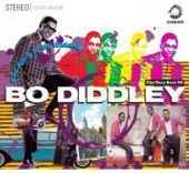 Bo Diddley - Story of Bo Diddley: Very Best of Bo Diddley - 2CD Bo Diddley - Story of Bo Diddley: Very Best of Bo Diddley - 2CD
