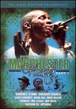 V/A - Manchester Fiesta 2008, Part 2 - DVD