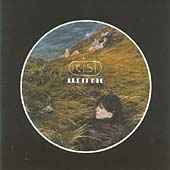Feist - Let It Die - CD Feist - Let It Die - CD