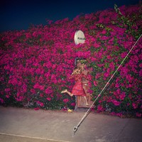 Feist - Pleasure - CD Feist - Pleasure - CD