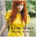 A Fine Frenzy - One Cell in the Sea - CD A Fine Frenzy - One Cell in the Sea - CD