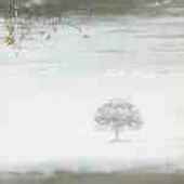 Genesis - Wind & Wuthering - CD Genesis - Wind & Wuthering - CD