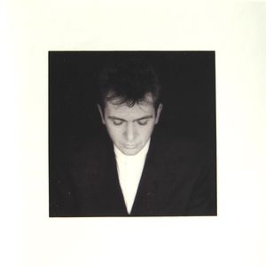 Peter Gabriel - Shaking The Tree - CD