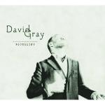 David Gray - Foundling - CD