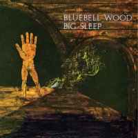 Big Sleep - Bluebell Wood - CD