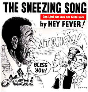 Hey Fever! ‎– The Sneezing Song - 12´´ bazar