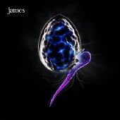 James - Night Before - CD