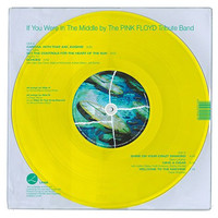 Pink Floyd Tribute Band - If You Were In The Middle - 2LP