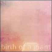 Bill Rieflin - Birth of a Giant - CD