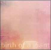 Bill Rieflin - Birth of a Giant - CD Bill Rieflin - Birth of a Giant - CD