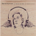 David Sylvian - Died in the Wool - 2CD