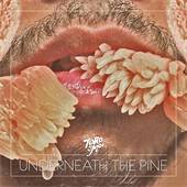 Toro Y Moi - Underneath The Pine - CD