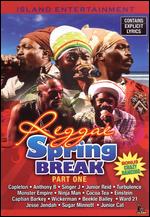 V/A - Reggae Spring Break 2008, Part 1 - DVD