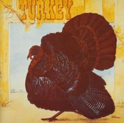 Wild Turkey - Turkey: Expanded Edition - CD