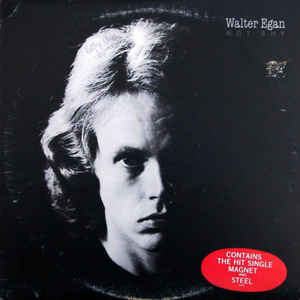 Walter Egan ‎– Not Shy - LP bazar